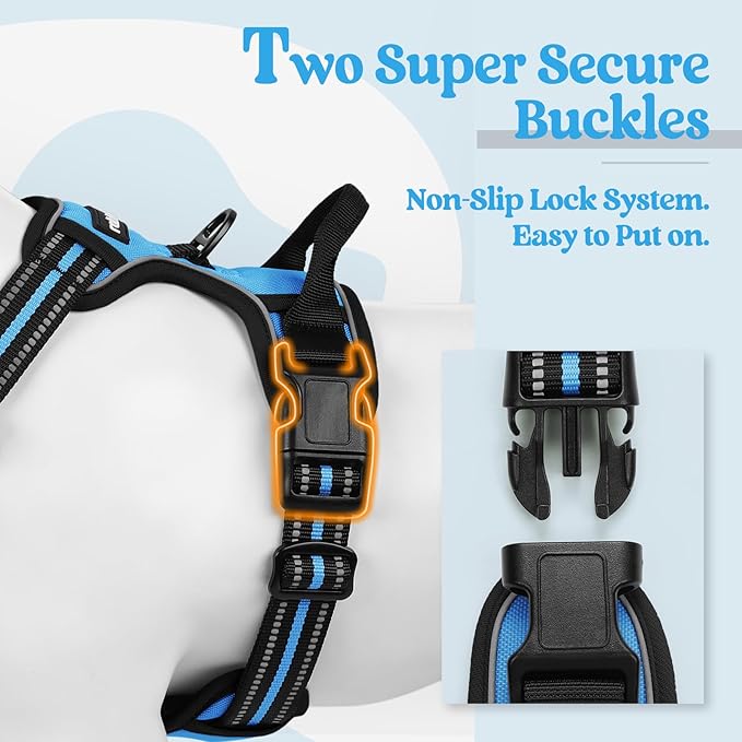 rabbitgoo Dog Harness No Pull with 2 Leash Clips, Adjustable Soft Padded, Reflective Oxford No Choke Pet Vest with Easy Control Handle for Small Dogs, Blue, S rabbitgoo