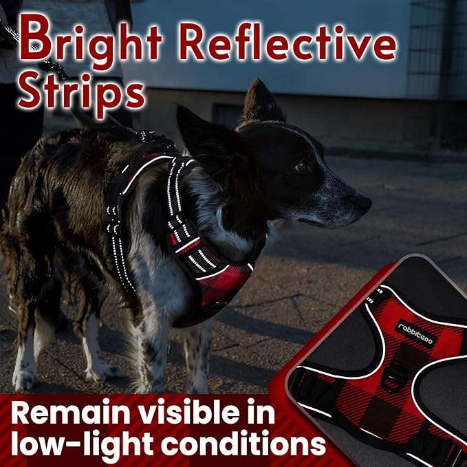 rabbitgoo Dog Harness No Pull with 2 Leash Clips, Adjustable Soft Padded, Reflective Oxford No Choke Pet Vest with Easy Control Handle for Large Dogs, Red Plaid, L rabbitgoo