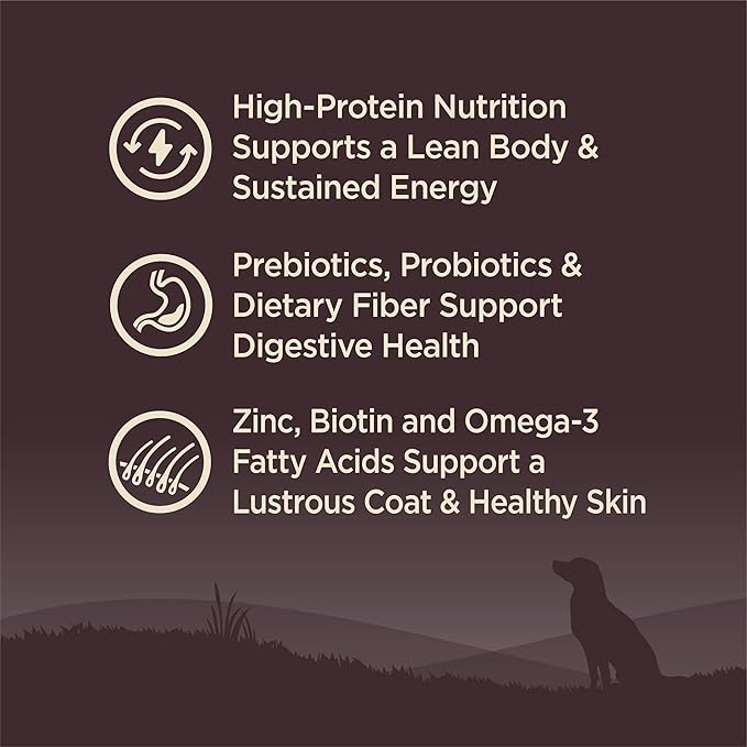 Wellness CORE Grain-Free High-Protein Dry Dog Food, Natural Ingredients, Made in USA with Real Meat, All Breeds, For Adult Dogs (Wild Game Duck, Lamb Meal, Boar & Rabbit, 26-Pound Bag) - PAWPICO