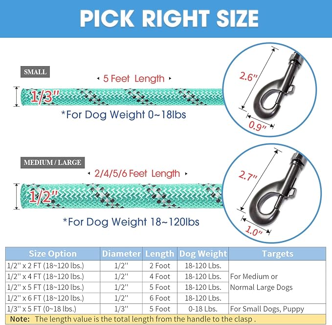 BAAPET 2/4/5/6 FT Dog Leash with Comfortable Padded Handle and Highly Reflective Threads for Small Medium and Large Dogs (6FT-1/2'', Turquoise) BAAPET