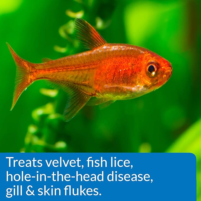 API GENERAL CURE Freshwater and Saltwater Fish Powder Medication 10-Count Box API