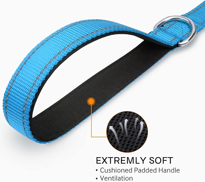 Joytale Double-Sided Reflective Dog Leash, 6 FT/5 FT/4 FT, Padded Handle Nylon Heavy Duty Leashes for Small & Medium Dogs Walking, Sky Blue, 5FT Joytale