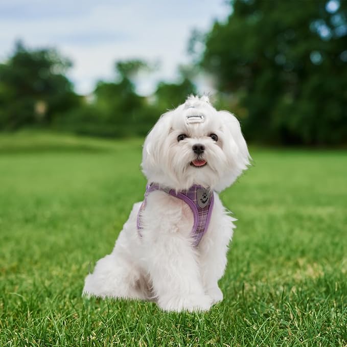 EXPAWLORER Classic Plaid Puppy Harness - Small Dog Harness and Leash Set - Dog Collar and Leash Set with AirTag Holder, Soft Padded Step in Dog Vest Harness No Pull Reflective for Outdoor, Purple S EXPAWLORER