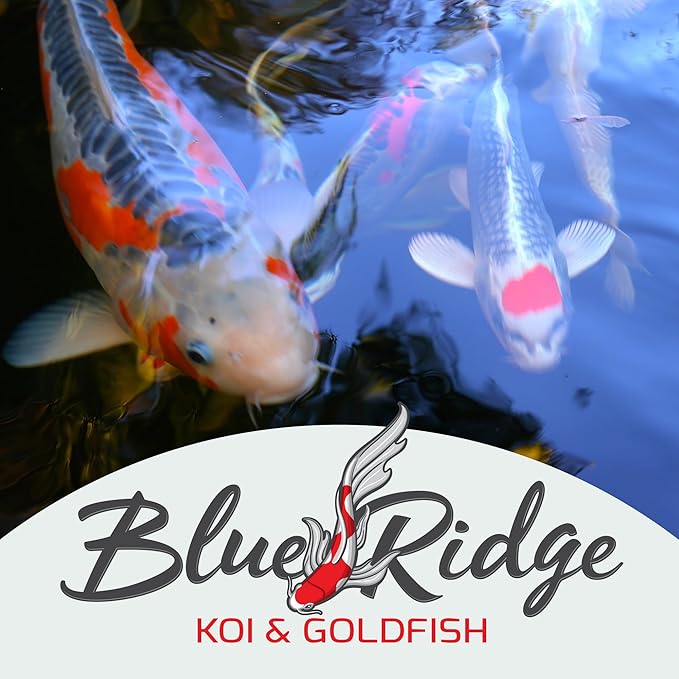 Blue Ridge Koi Fish Food 25lb - Koi Food 3/16” Large and Mini Blend Growth Formula, Goldfish Food, Premium Fish Food for Ponds, Ponds Fish Food, Floating Pond Pellets BlueRidgeFishHatchery