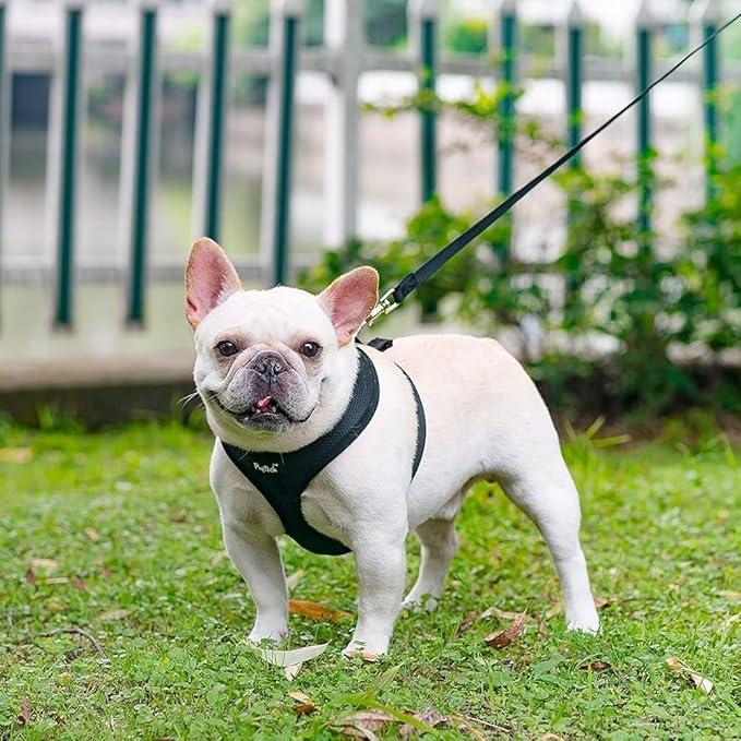 PUPTECK Soft Mesh Dog Harness and Leash Set Pet Puppy Cat Comfort Padded Vest No Pull Harnesses, Solid Black, S PUPTECK