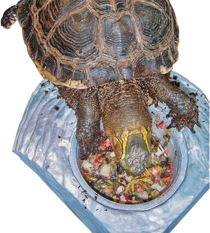 Box Turtle Food Instant Meal for Reptiles - Nutritious Turtle Food, Tortoise Habitat Accessories, Tortoise Food - Made in USA, Quick Prep - 10.5 oz (310g) HealthyHerp