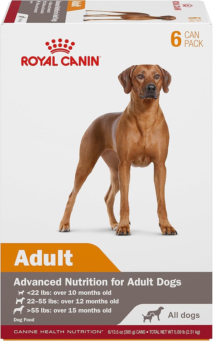 Royal Canin Canine Health Nutrition Adult In Gel Canned Dog Food, 13.5 oz can (6-pack) - PAWPICO
