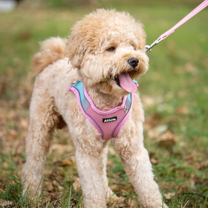 AIITLE Easy Walk Dog Harness and Leash Set - Pet Supply No Pull, Step in Adjustable Dog Harness with Padded Vest for Spring, Dog Harness No Choke Over, Easy to Put on Medium Dogs Pink L AIITLE-FORPETSBETTERLIFE