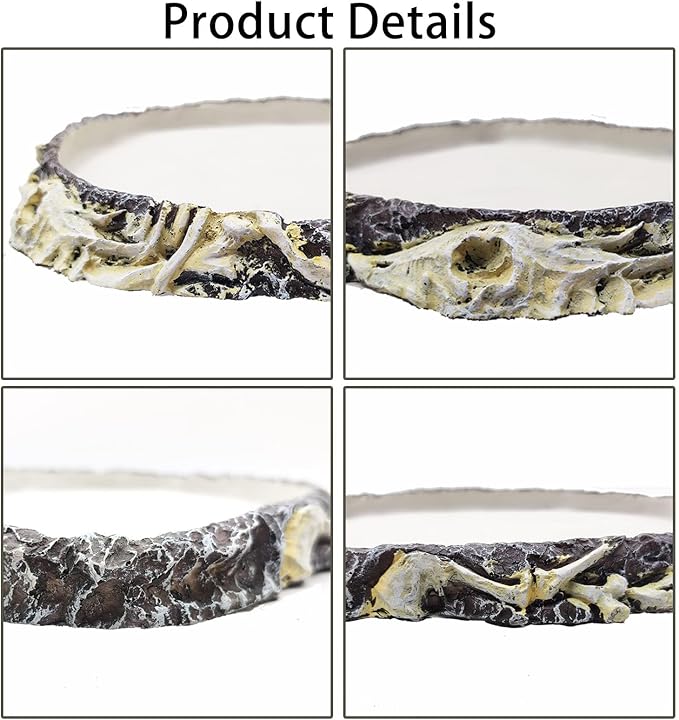 Tfwadmx Reptile Water Bowl Reptile Feeding Dish Reptile Feeder Food and Water Bearded Dragon Food Dish for Turtles, Tortoises, Snakes, Lizards, Geckos, Chameleons Tfwadmx