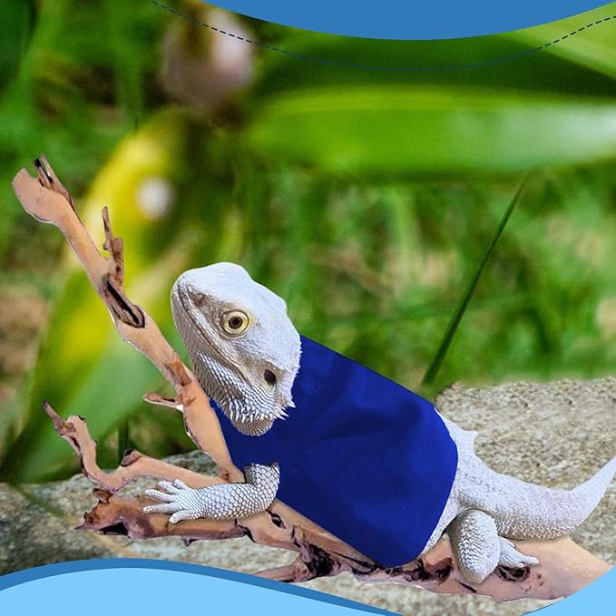 Lizard Clothes Bearded Dragon Hoodie Sweater Jacket Small Pet Costume Flannel Apparel for Reptiles Party Cosplay Props Chameleon Outfit Reptile Clothing Accessories HOKABLE