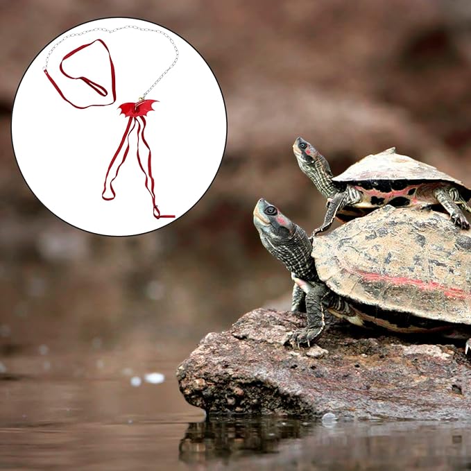 Turtle Wing Design Harness Strap Chest Collar Adjustable Rope Walking Control Rope Great for Turtle Reptile (Red L) POPETPOP