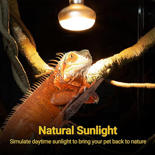 REPTI ZOO 2 Pack Heat Lamp 150W, Intense Basking Spot Simulated Natural Sunlight Heating Lamp Bulb, Heat Emitter UVA Heat Lamp Bulb for Reptile Chickens Pet Brooder REPTIZOO