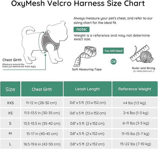 BELLA & PAL Puppy Harness with Leash Set, Dog Harness for Small Dogs No Pull, Dog Leash for Small Dogs, Step in Harness for Extra Small Dogs, Green Harness, XXS BELLAPAL