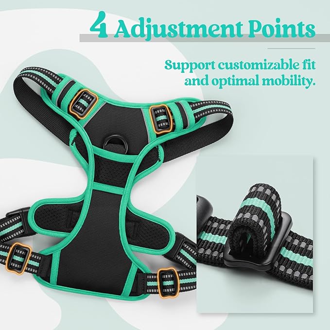 rabbitgoo Dog Harness No Pull with 2 Leash Clips, Adjustable Soft Padded, Reflective Oxford No Choke Pet Vest with Easy Control Handle for Large Dogs, Black & Turquoise, L rabbitgoo