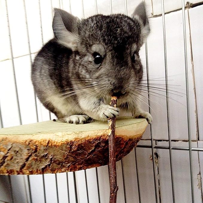 500g Apple Sticks Small Animals Molar Wood Treats Toys for Rabbits Chinchillas Guinea Pig Hamster Gerbil Bunny and Small Animal Chew Stick Toys Bojafa