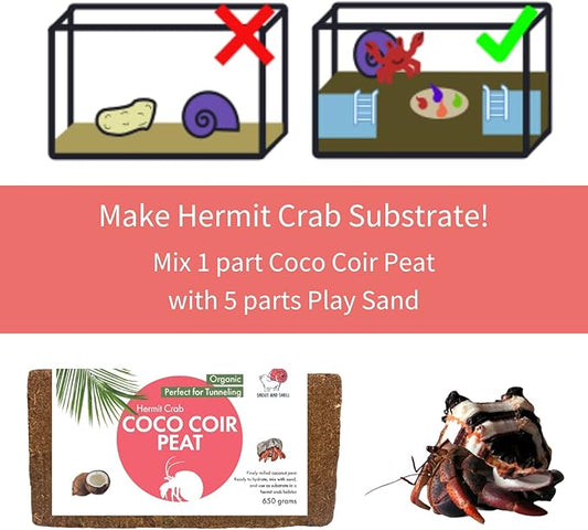 Snout and Shell Coco Peat Reptile & Amphibian Bedding 1.4 lbs - Perfect for Frogs, Salamanders, Geckos & Snakes Tunneling - 100% Organic Coconut Husks - 650 Grams, Brown SNOUTANDSHELL