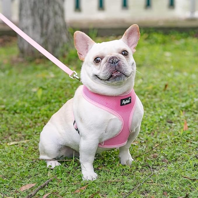 PUPTECK Soft Mesh Dog Harness and Leash Set Pet Puppy Cat Comfort Padded Vest No Pull Harnesses, Solid Pink, L PUPTECK