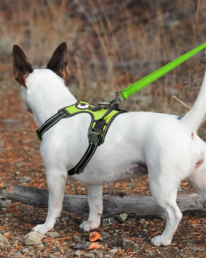 Joytale Double-Sided Reflective Dog Leash, 6 FT/5 FT/4 FT, Padded Handle Nylon Heavy Duty Leashes for Medium & Large Dogs Walking, Green, 6FT Joytale