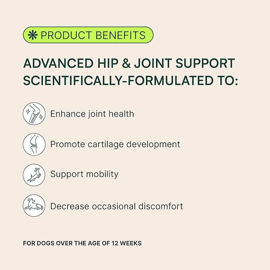 Wuffes Chewable Dog Hip and Joint Supplement for Small & Medium Breeds - Glucosamine & Chondroitin Chews - Dog Joint Supplements & Vitamins - Extended Joint Care - 60 Ct Wuffes