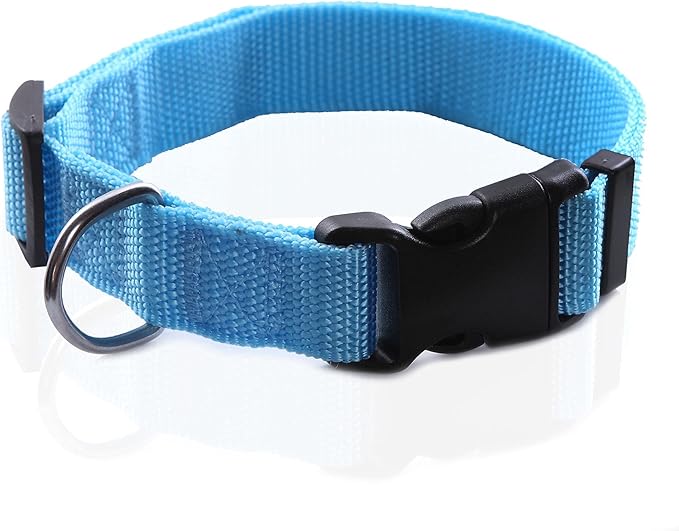 Adjustable Nylon Dog Collar, pet Collar 1 Inch 3/4 Inch 5/8 Inch Wide, for Large Medium Small Dogs (L(1" x 16-23"), Sky Blue) TAIDA
