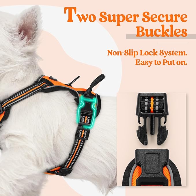 rabbitgoo Dog Harness No Pull with 2 Leash Clips, Adjustable Soft Padded, Reflective Oxford No Choke Pet Vest with Easy Control Handle for Puppy, Orange,XS rabbitgoo