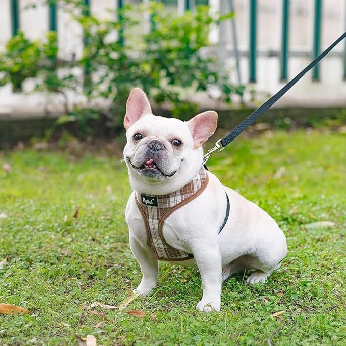 PUPTECK Soft Mesh Dog Harness and Leash Set Pet Puppy Cat Comfort Padded Vest No Pull Harnesses, Brown, XS PUPTECK