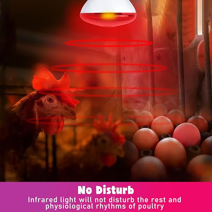 LUCKY HERP Infrared Heat Lamp for Chickens - 250 Watts Red Heat Lamp Bulb 1 Pack, Heat Light Bulb for Brooder Coop, Food Service, Chicks, Pet, Reptile LUCKYHERP