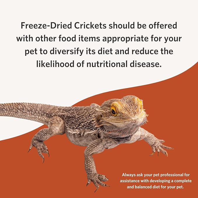 Fluker's Freeze Dried Crickets, Ideal for Reptiles, Birds, and Fish, Packed with Protein and Essential Nutrients, 1.2 oz Flukers