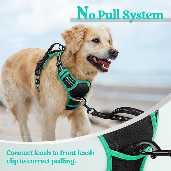 rabbitgoo Dog Harness No Pull with 2 Leash Clips, Adjustable Soft Padded, Reflective Oxford No Choke Pet Vest with Easy Control Handle for Large Dogs, Black & Turquoise, XL rabbitgoo