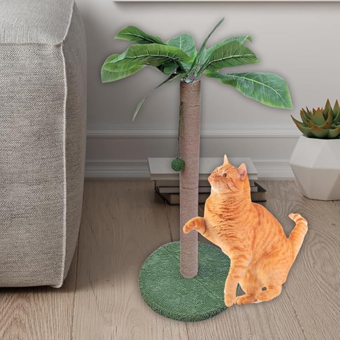 MAMONI Palm Tree Cat Scratching Post for Indoor Cats, 33" Tall Cat Scratching Post with Sisal Rope, Cute Premium Kitten Scratching Post with Hanging Ball - PAWPICO