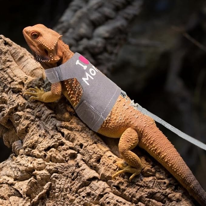Bearded Dragon Harness and Leash Set - Adjustable Lizard Harness with Glow in The Dark Print Outdoor Traction Rope Walking Leash Reptile Halloween Costume Accessories for Small Pets (Grey) SEZDEKI