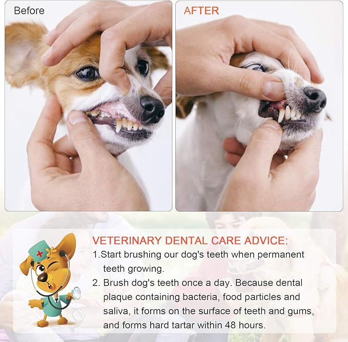 Double Headed Pet Dog Toothbrush for Small Dogs/Soft Bristles Puppy Long Handle Tooth Brush Dogs Teeth Cleaning/Bulk Toothbrushes Dental & Oral Care… (MIXED10) EASYAS