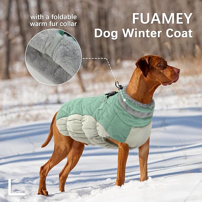 FUAMEY Dog Winter Jacket,Dog Cold Weather Coats Paded Dog Vest with Harness Built in Pet Warm Clothes Dog Apparel with Back Zipper Dog Water Resistant Coat for Small Medium Large Dogs Mint Green S - PAWPICO