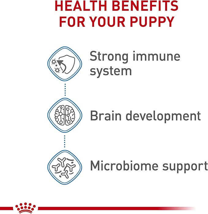 Royal Canin Size Health Nutrition Dry Large Breed Puppy Food, Supports Brain Development, Immune Support and Digestive Health, 30 lb Bag - PAWPICO