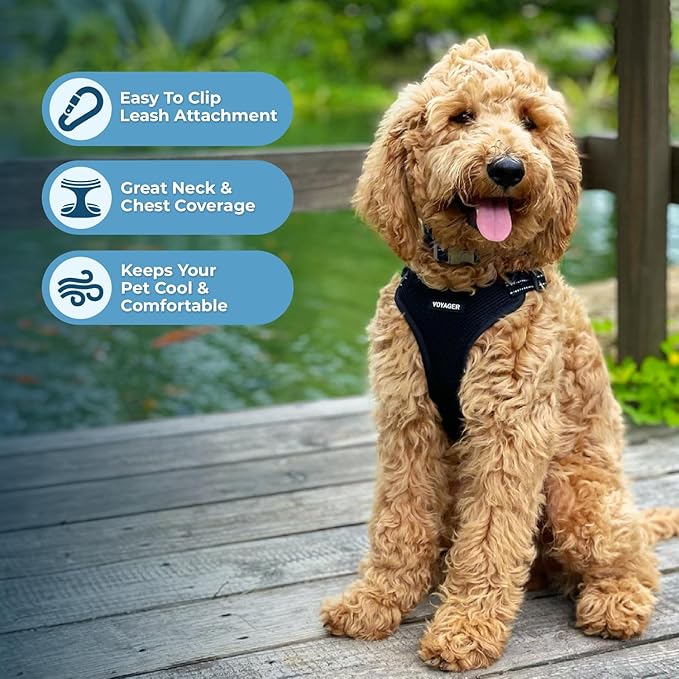 Best Pet Supplies Voyager Adjustable Dog Harness Leash Set with Reflective Stripes for Walking Heavy-Duty Full Body No Pull Vest with Leash D-Ring, Breathable All-Weather - Harness (Black), XL BestPetSuppliesLLC