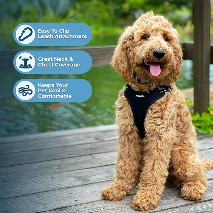 Best Pet Supplies Voyager Adjustable Dog Harness Leash Set with Reflective Stripes for Walking Heavy-Duty Full Body No Pull Vest with Leash D-Ring, Breathable All-Weather - Harness (Black), M BestPetSuppliesLLC