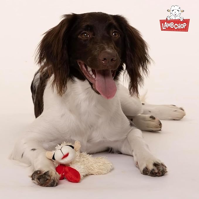 Multipet INTERNATIONAL 843140 Lambchop Plush Squeak Toy Mini for Pets, 6-Inch, White, small - PAWPICO