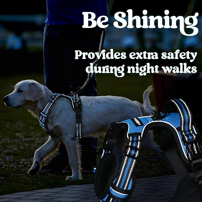 rabbitgoo Dog Harness for Large, No Pull Pet Harness with 3 Buckles, Adjustable Soft Padded Pooch Vest with Instant Control Handle, Easy Walking Reflective Pet Vest for Extra Large Dogs, Sky Blue, XL rabbitgoo