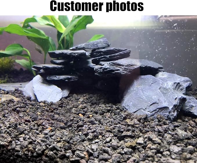 Voulosimi Natural Slate Rocks PH Neutral Stone Perfect Rocks for Aquariums, Landscaping Model,Tank Decoration,Amphibian Enclosures (3.5 LB, 1-3 inch) Voulosimi
