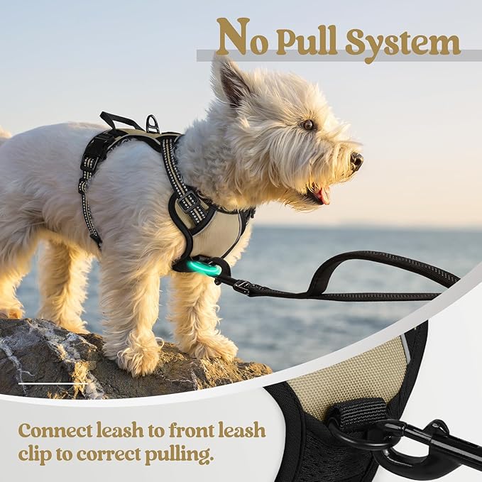 rabbitgoo Dog Harness No Pull with 2 Leash Clips, Adjustable Soft Padded, Reflective Oxford No Choke Pet Vest with Easy Control Handle for Puppy, Beige, XS rabbitgoo
