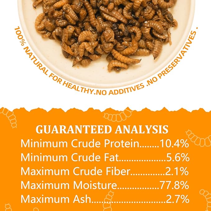 6 Pack Canned Black Soldier Fly Larvae for Reptiles, Fish, Birds and Small Animals, BSF, Healthy High Protein Treat, Reptile Bird Fish Food 1.2 Ounces Each Jadingfarm