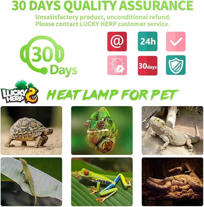LUCKY HERP 2 Pack 50W Reptile Heat Lamp Bulb (2nd Gen), Amphibian Basking Light Bulb, Reptile Daylight Bulb for Turtle, Bearded Dragon, Lizard Heating Use LUCKYHERP