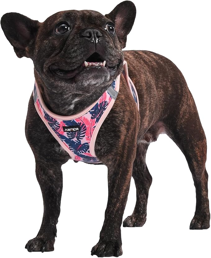 AMTOR Small Dog Harness with Leash Set, No Escape Easy Walk Puppy Harnesses for Training Walking, Step-in Reflective Soft Dogs Vest for XS S Medium Extra-Small Large Sized Dog(Pink Palm) AMTOR