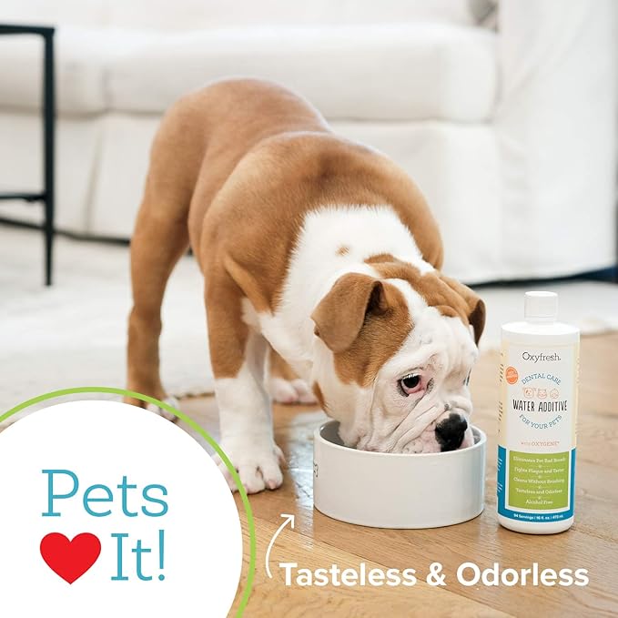 Oxyfresh Premium Pet Dental Care Solution Pet Water Additive: Best Way to Eliminate Bad Dog Breath and Cat Bad Breath - Fights Tartar & Plaque - So Easy, Just Add to Water! Vet Recommended 2 Pack Oxyfresh
