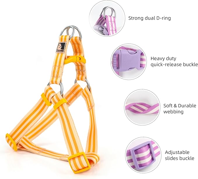 Striped Dog Harness Collar and Leash Set, Polyester Webbing Dog Collar Easy Walking and Training Dog Harness and Leash 3-in-1 Suit Adjustable Dog Harness Collar Leash Set for Dogs(Orange, L) Tiffpaws