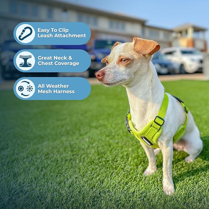 Voyager Step-in Air Dog Harness - All Weather Mesh, Reflective, No Pull Harness for Small, Medium Dogs, Cats - Secure with Hook & Loop Fastener, Buckle, Double D-Rings - Lime Green, XXXS BestPetSuppliesLLC