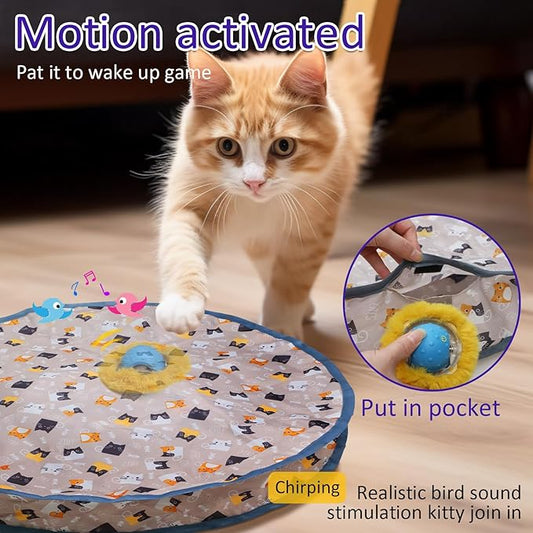 Interactive Cat Toys Ball Fast Rolling in Pouch, Motion Activate Chirping Cat Toy Hide and Seek Mouse Catching Game (Blue) - PAWPICO