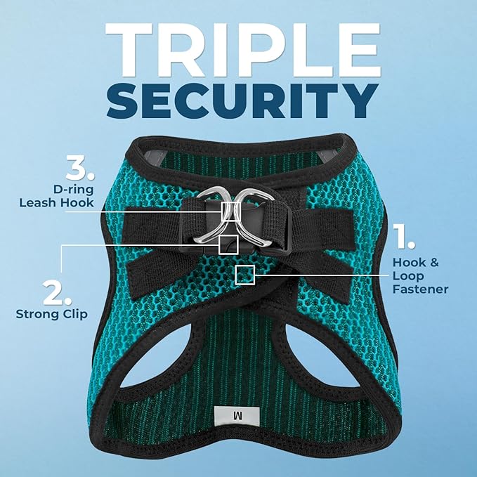 Voyager Step-in Air Dog Harness - All Weather Mesh, Reflective, No Pull Harness for Small, Medium Dogs, Cats - Secure with Hook & Loop Fastener, Buckle, Double D-Rings - Turquoise 2-Tone, L BestPetSuppliesLLC