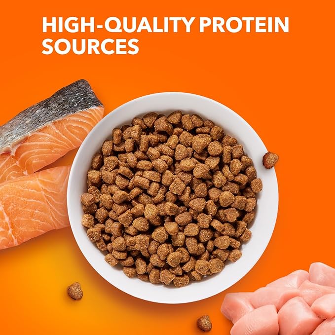 IAMS Proactive Health Adult Healthy Dry Cat Food with Salmon, 16 lb. Bag - PAWPICO