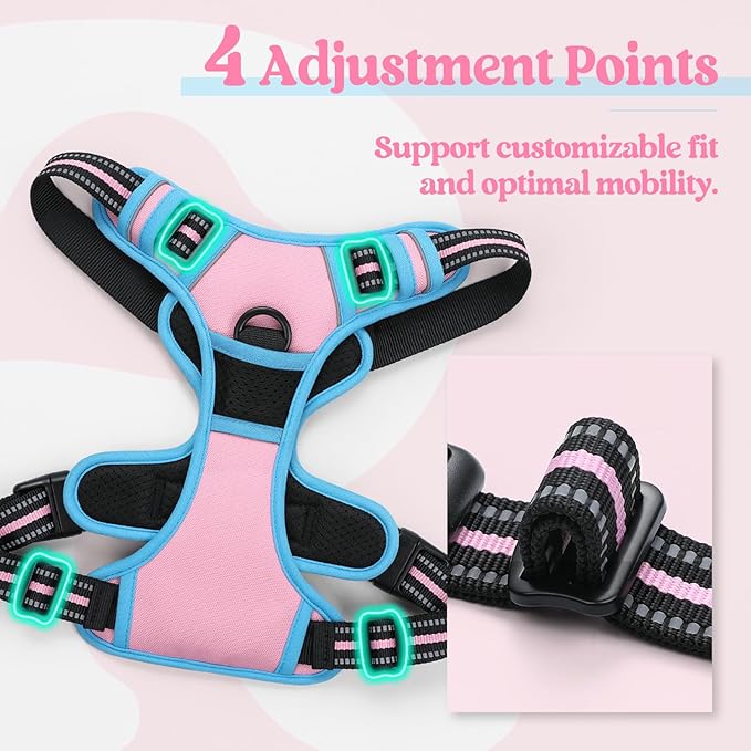 rabbitgoo Dog Harness No Pull with 2 Leash Clips, Adjustable Soft Padded, Reflective Oxford No Choke Pet Vest with Easy Control Handle for Medium Sized Dogs, Pink & Blue, M rabbitgoo